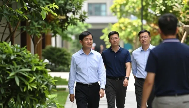 项目检查：如何通过项目咨询解决常见问题